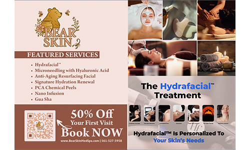 Bear Skin Cover Image